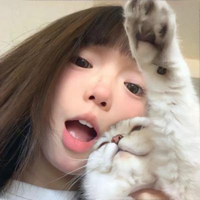 新蝶恋花